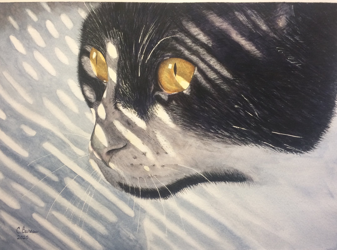 Black and white cat watercolor